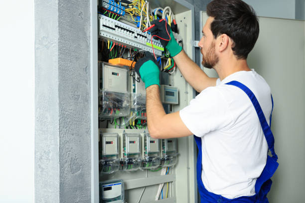 Best Electrical System Inspection  in Mcleansboro, IL