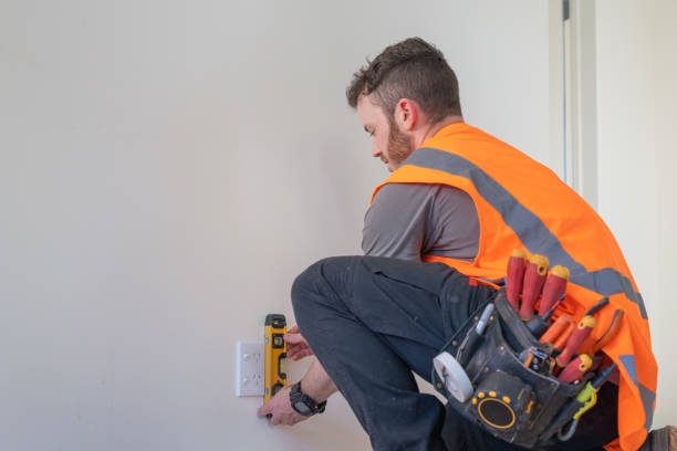 Best Electric Panel Repair  in Mcleansboro, IL